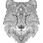 Coloriage Adulte Loup Nice Best 25 Mandala Animals Ideas On Pinterest