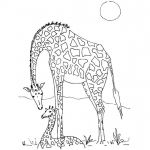 Coloriage Afrique Nice Coloriage Girafe D Afrique Dessin Gratuit à Imprimer