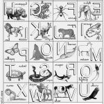 Coloriage Alphabet Maternelle Unique Les Animaux De Maternelle