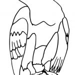 Coloriage Animal Luxe Coloriage Animaux Et Pagnie