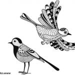 Coloriage Animaux À Imprimer Gratuit Nice Coloriage Anti Stress Animaux Oiseaux Dessin
