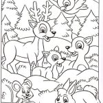 Coloriage Animaux Foret Élégant Coloriages Page 9