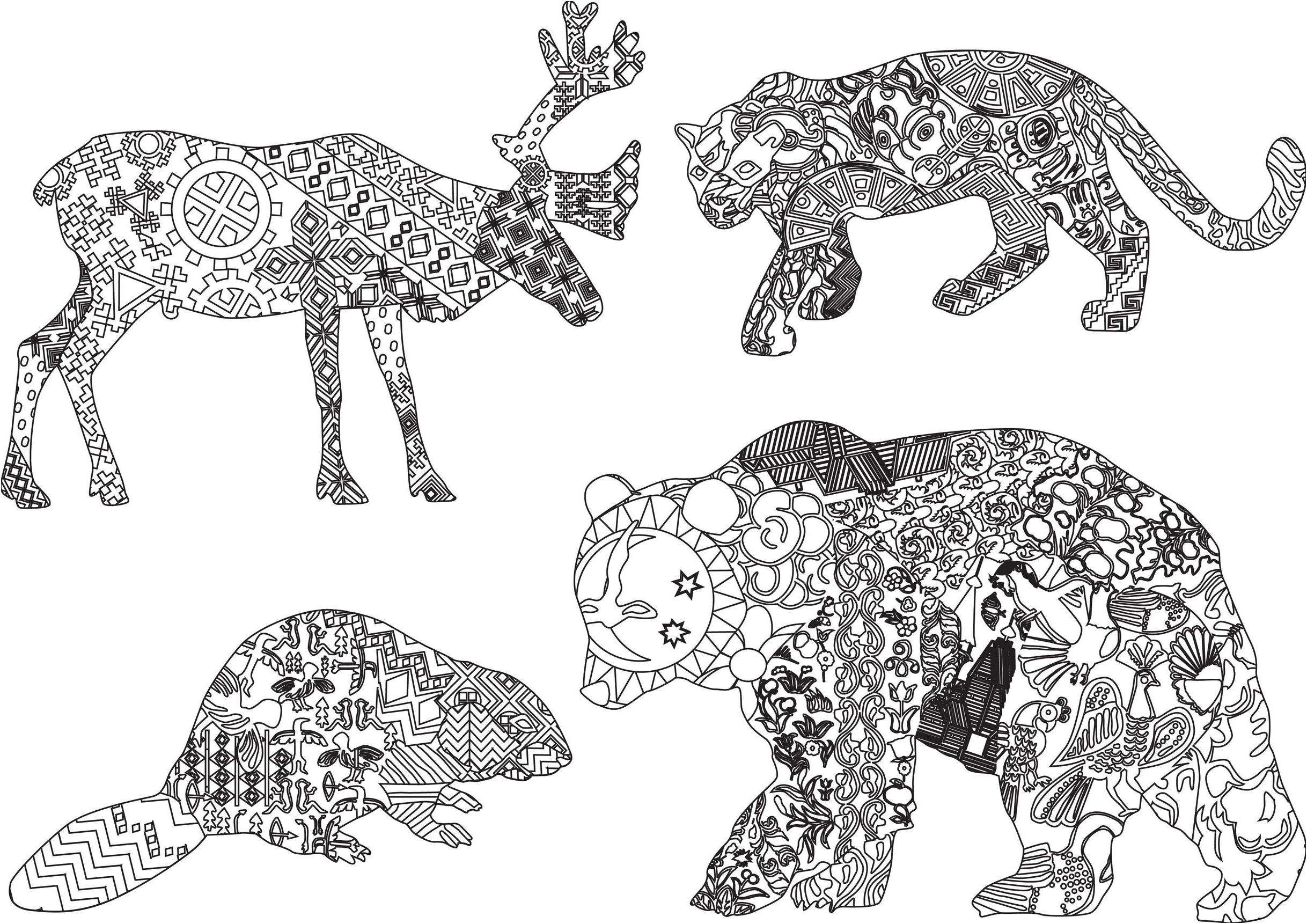 Coloriage Animaux Sauvage Génial Coloriage D Animaux Sauvages