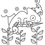 Coloriage Animaux Sauvage Luxe Colorie Coloriages Les Animaux Sauvages 20