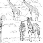 Coloriage Animaux Zoo Luxe Coloriage à Imprimer Zoo