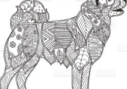 Coloriage Anti Stress Animaux tortue Inspiration Dog Adult Antistress Children Coloring Page Stock