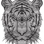 Coloriage Anti Stress Animaux Tortue Luxe Coloriage Anti Stress Animaux Tigre