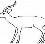 Coloriage Antilope Meilleur De Desenhos Para Colorir De Antilope E Pintar