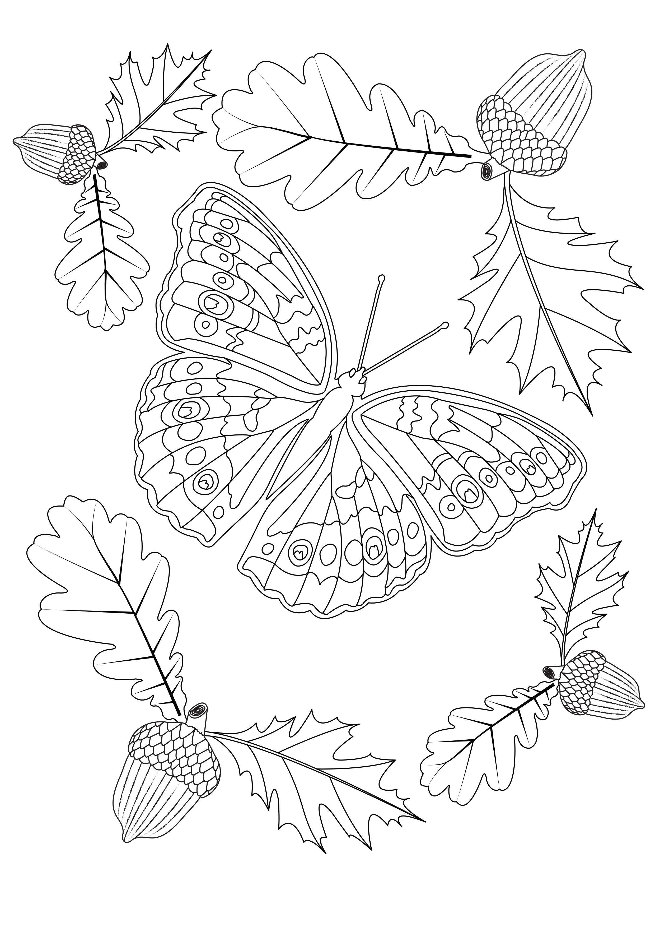 Coloriage Automne Adulte Unique Papillon D Automne Papillons &amp; Insectes Coloriages
