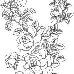 Coloriage Bouquet De Fleur Élégant Bouquet De Fleurs Nature – Coloriages à Imprimer