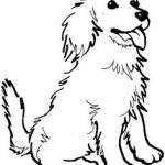 Coloriage Cavalier Génial Cavalier King Charles Spaniel Coloring Pages At