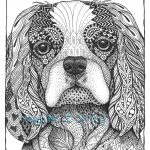 Coloriage Cavalier Unique Small Breed Dog Portraits Matted Print Of By
