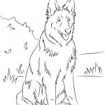 Coloriage Chien Berger Allemand Nice Coloriage Berger Allemand