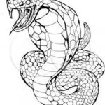 Coloriage Cobra Nice Cobra Coloring Pages for Kids Disney Coloring Pages
