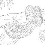 Coloriage Cobra Nice Realistic Snake Drawing At Getdrawings