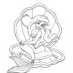 Coloriage Coquillage Luxe Coloriages Ariel
