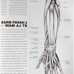 Coloriage Corps Humain Nice Apprendre L Anatomie Facile Avec Livre Dessin Anatomie