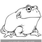 Coloriage Crapaud Inspiration Grenouille Coloriage Grenouilles Rigolotes Toupty