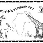 Coloriage D'animaux À Imprimer Génial Animaux D Afrique Coloriage Dessinbebeub