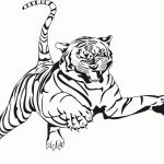 Coloriage D'animaux À Imprimer Nice Apprendre À Dessiner Un Tigre Dessinbebeub
