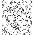 Coloriage De Chat Et Chien Frais Two Cute Cats In A Shoe Animals Adult Coloring Pages