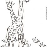 Coloriage De Girafe Luxe Coloriage De Deux Girafes Dans Les Herbes Tête à Modeler