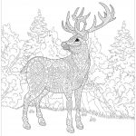 Coloriage De Noel Difficile Génial Рождественский олень в лесу Рождественские взрослые