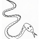 Coloriage De Serpent Inspiration Coloriage Serpent à Imprimer Gratuitement