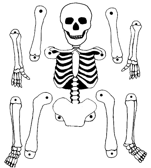 Coloriage De Squelette Élégant Squelette 46 Personnages – Coloriages à Imprimer