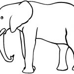 Coloriage Elephant Inspiration Elephant De Profil 490×368