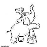Coloriage Elephant Inspiration S Hopkins Coloring Pages Printable Sketch Coloring Page