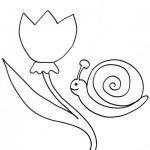 Coloriage Escargot Luxe Coloriage D Un Escargot à La Tulipe Tête à Modeler