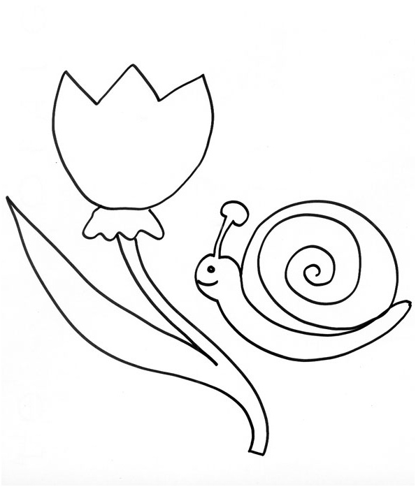 Coloriage Escargot Luxe Coloriage D Un Escargot à La Tulipe Tête à Modeler
