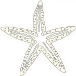 Coloriage Etoile De Mer Nouveau Coloriage à Imprimer Une étoile De Mer Turbulus Jeux