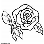 Coloriage Fleurs À Imprimer Frais Coloriage Fleur Rose Simple Et Facile Dessin