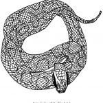 Coloriage Gratuit Animaux Élégant Coloriage Adulte Serpent