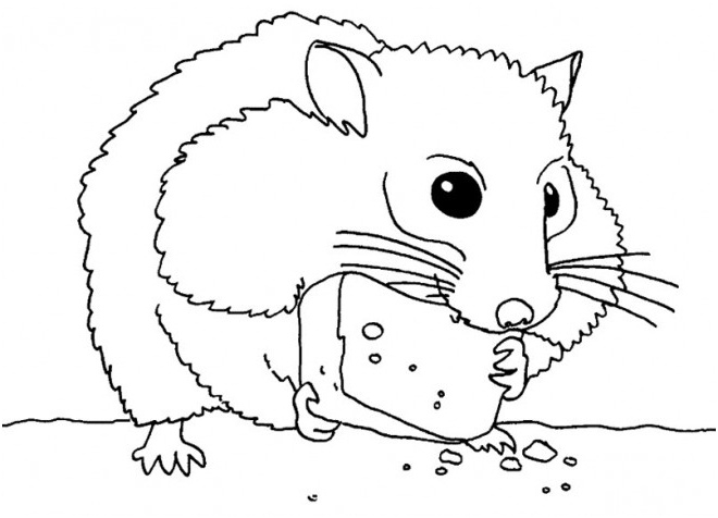 Coloriage Hamster Frais Coloriage Hamster Mange De Fromage Dessin Gratuit à Imprimer