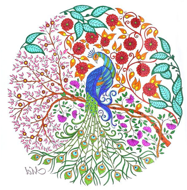 Coloriage Jardin Secret Unique 124 Best Coloriages &amp; Dessins Images On Pinterest