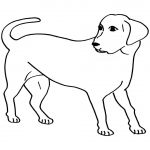 Coloriage Labrador Meilleur De 34 Labrador Coloring Pages Coloriage Labrador Retriever