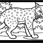 Coloriage Lynx Meilleur De Fazendo A Minha Festa Para Colorir Imagens De Animais Da
