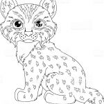Coloriage Lynx Nice Lynx Coloriage Page – Cliparts Vectoriels Et Plus D Images
