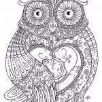 Coloriage Magique Cp Soustraction Inspiration Animal Mandala Coloring Pages