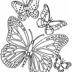 Coloriage Magique Papillon Meilleur De Coloriage Paysage De Papillon En Ligne Dessin Gratuit à