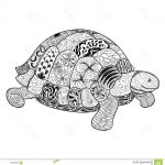 Coloriage Mandala Animaux Tortue Unique Turtle Doodle Illustration Stock Vector Image