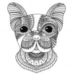 Coloriage Mandala Chien Génial Dog Head Bimdeedee Dogs Adult Coloring Pages