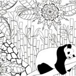 Coloriage Mandala Panda Luxe Pocket Size Handpainted Black Moleskine Journal With White