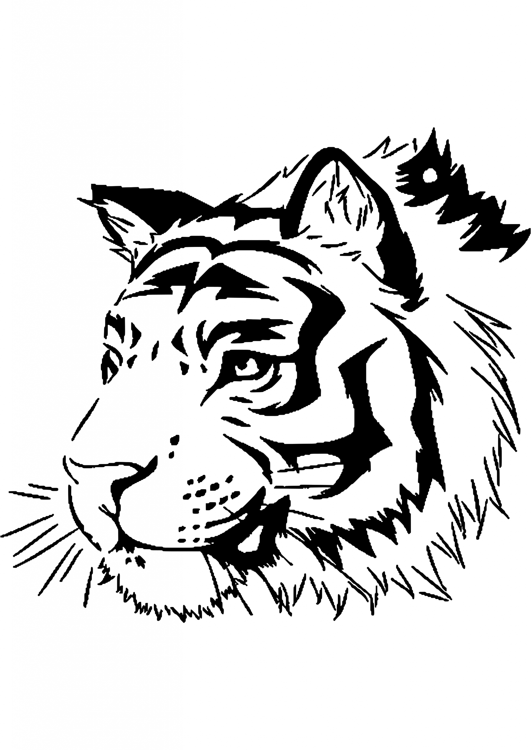Coloriage Mandala Tigre Meilleur De Coloriage Tigre Mandala Dessin Tigre Coloriage
