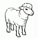 Coloriage Mouton Élégant 119 Dessins De Coloriage Mouton à Imprimer