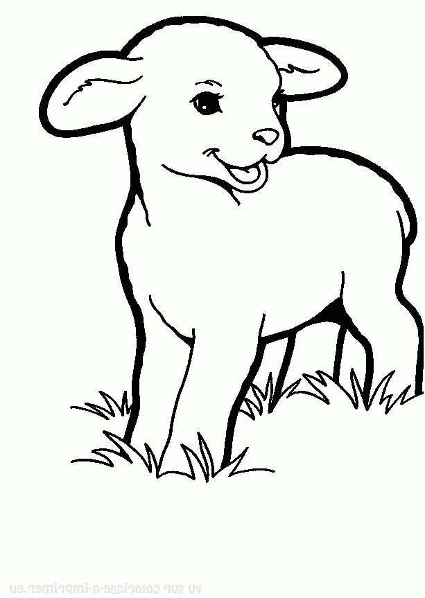 Coloriage Mouton Meilleur De Mouton 109 Animaux – Coloriages à Imprimer
