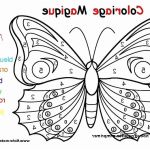 Coloriage Noeud Papillon Luxe Download 25 Coloriage De Papillon
